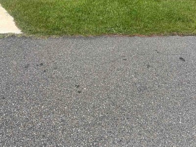 Lawn Care service in Flagler Beach, 32136