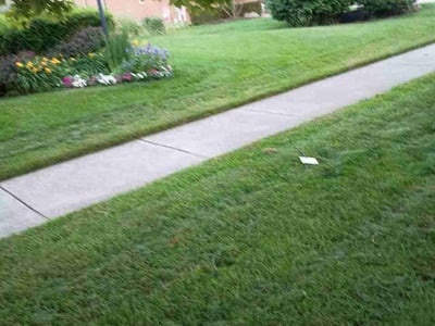 Lawn Care service in Clarkston, 48346