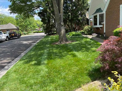 Lawn Care service in Burke, 22009