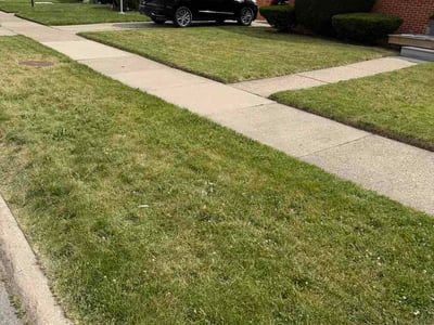 Lawn Care service in Pinckney, 48169