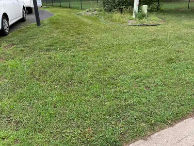 Lawn Care service in Cottage Grove, 55016
