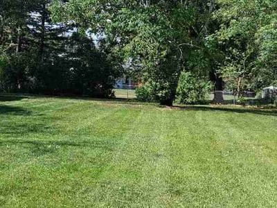 Lawn Care service in Cottage Grove, 55016