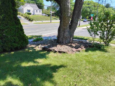 Lawn Care service in Milford, 01757