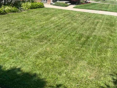 Lawn Care service in Grosse Pointe, 48230