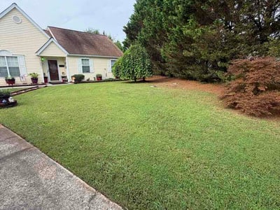Lawn Care service in Cartersville, 30120