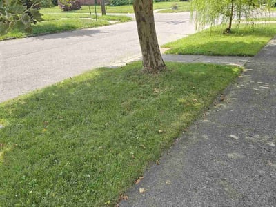 Lawn Care service in Grosse Pointe, 48230