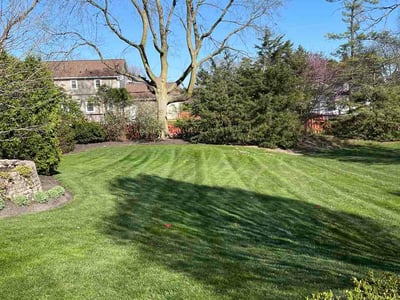 Lawn Care service in Bensalem, 19020