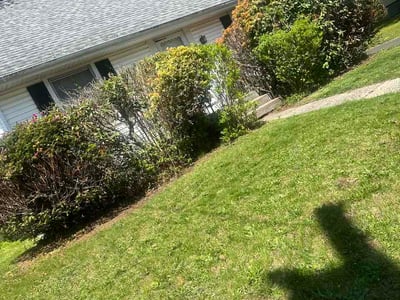 Lawn Care service in New Haven County, 06471