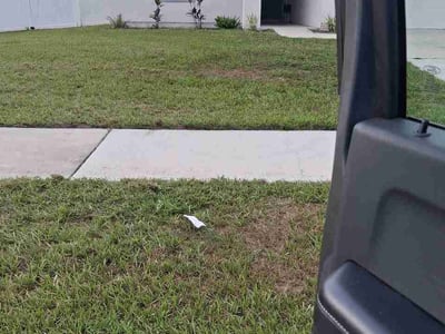 Lawn Care service in Groveland, 34736