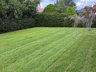 Lawn Care service in Windermere, 34786
