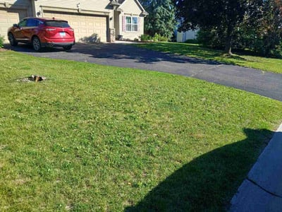 Lawn Care service in Richfield, 55423