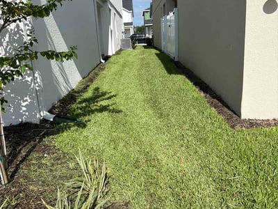 Lawn Care service in Apopka, 32712