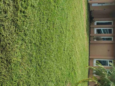 Lawn Care service in Cambridge, 02138