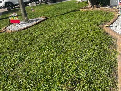 Leaf Removal service in Oviedo, 32765