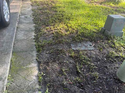 Leaf Removal service in Oviedo, 32765
