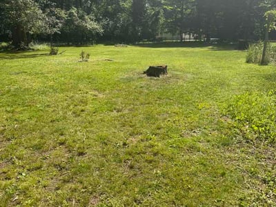 Lawn Care service in Lake Orion, 48362