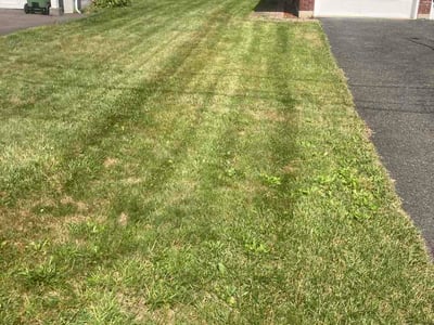Lawn Care service in Waterbury, 06710