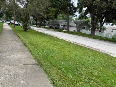 Lawn Care service in Palatine, 60074