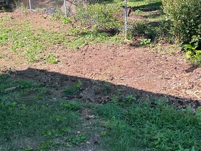 Lawn Care service in Spartanburg, 29306