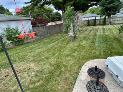 Lawn Care service in Burlington, 53105