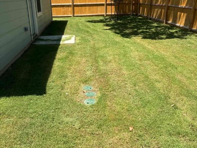 Lawn Care service in San Rafael, 94901
