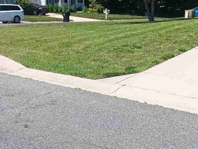 Lawn Care service in Millsboro, 19966