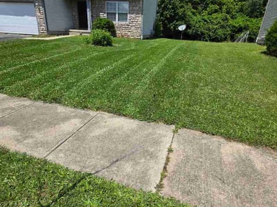 Lawn Care service in Ocean City, 08226