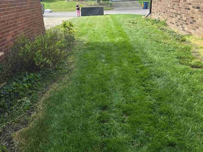 Lawn Care service in Ocean City, 08226
