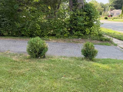 Lawn Care service in Coventry, 06238