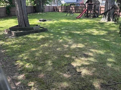 Lawn Care service in Niles, 49120