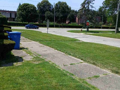 Lawn Care service in Benton Harbor, 49022