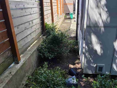 Leaf Removal service in Renton, 98057