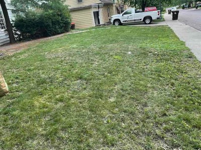 Leaf Removal service in Erie, 16507