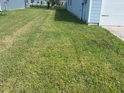 Lawn Care service in Atwater, 95301