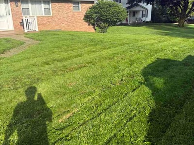 Lawn Care service in South Richmond Hill, 11419