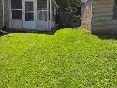Lawn Care service in South Richmond Hill, 11419