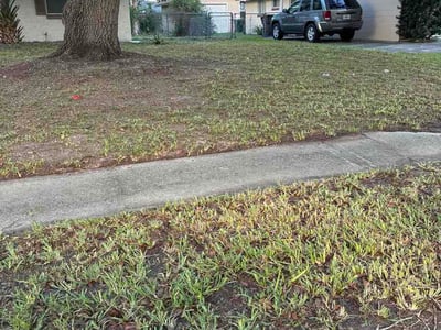 Leaf Removal service in Kissimmee, 34741