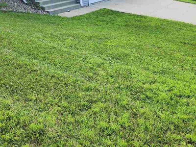 Lawn Care service in Rochester, 55902