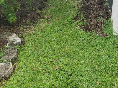 Lawn Care service in North Bergen, 07047