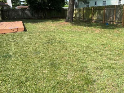 Lawn Care service in Valley Stream, 11580