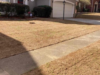 Lawn Care service in Hollis, 11423