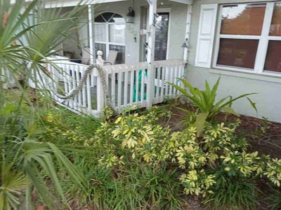Leaf Removal service in St. Petersburg, 33701