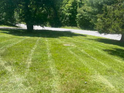 Lawn Care service in Fresh Meadows, 11366