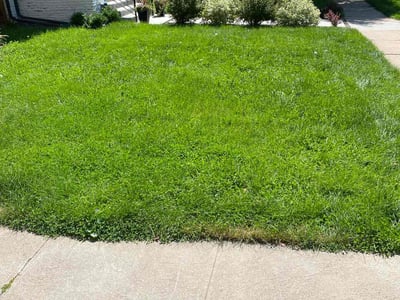 Lawn Care service in Fresh Meadows, 11366
