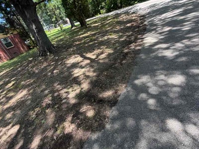 Leaf Removal service in Olive Branch, 38654