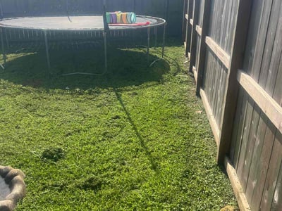 Lawn Care service in Englewood, 07631