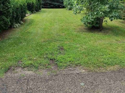 Lawn Care service in ,