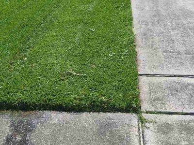 Lawn Care service in Jersey City, 07302