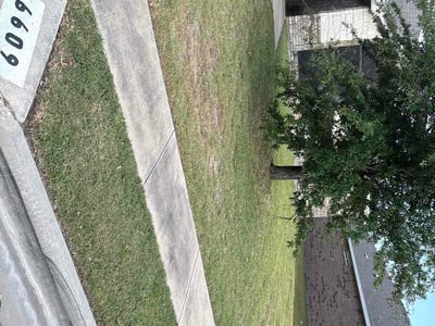 Lawn Care service in Killeen, 76541