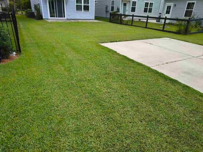 Lawn Care service in Hilton Head Island, 29926